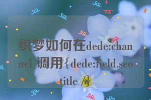 织梦如何在dede:channel 调用{dede:field.seotitle /}