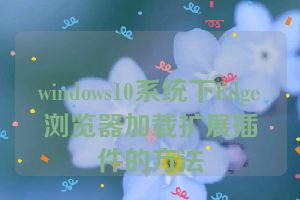 windows10系统下Edge浏览器加载扩展插件的方法