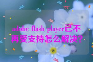 adobe flash player已不再受支持怎么解决？