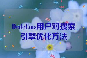 DedeCms用户对搜索引擎优化方法