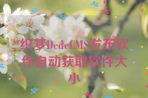 织梦DedeCMS发布软件自动获取软件大小