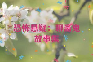 恐怖悬疑：聊斋鬼故事集