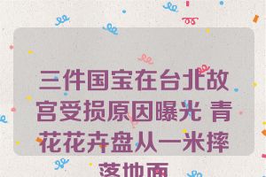 三件国宝在台北故宫受损原因曝光 青花花卉盘从一米摔落地面