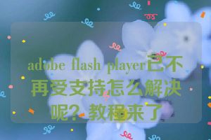 adobe flash player已不再受支持怎么解决呢？教程来了