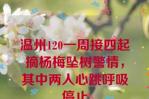 温州120一周接四起摘杨梅坠树警情，其中两人心跳呼吸停止
